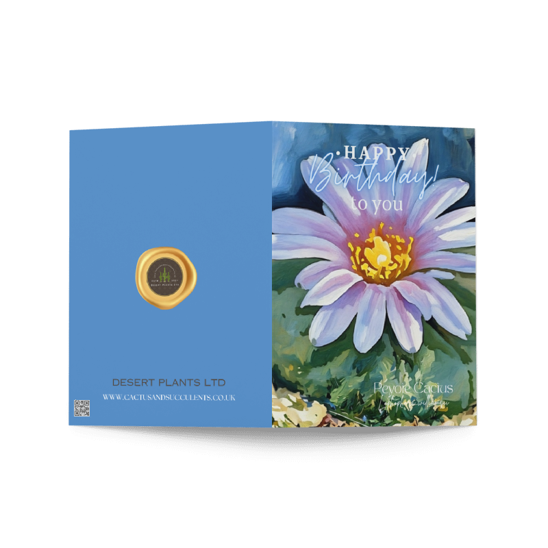 Peyote Cactus Birthday Card – Sacred Stillness Edition (Lophophora williamsii)