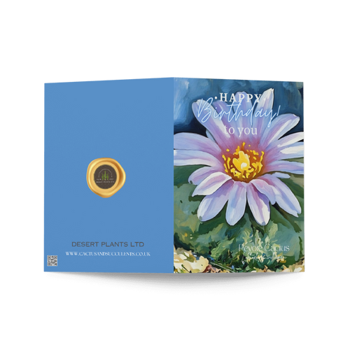 Peyote Cactus Birthday Card – Sacred Stillness Edition (Lophophora williamsii)