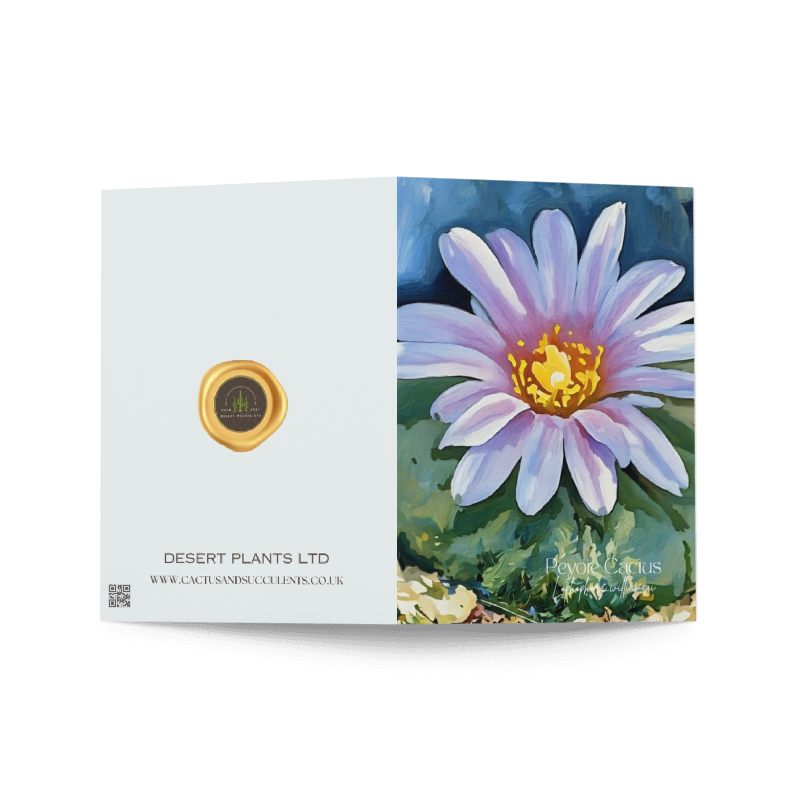 Peyote Cactus, Botanical Art Card – Sacred Bloom Edition (Blank Inside)