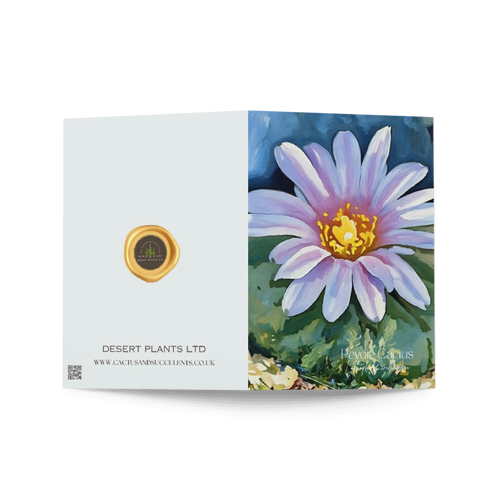 Peyote Cactus, Botanical Art Card – Sacred Bloom Edition (Blank Inside)