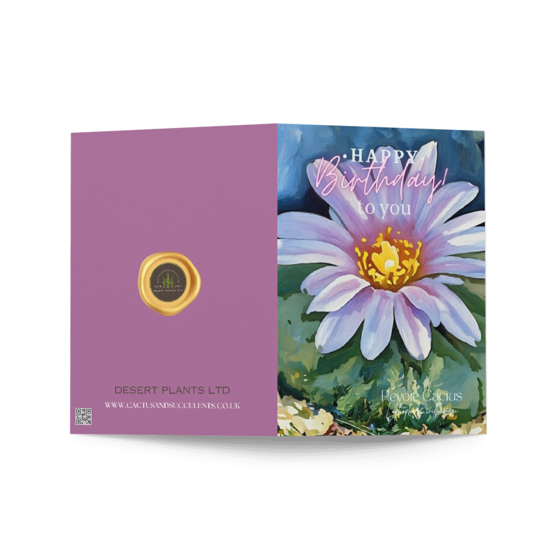 Peyote Cactus Birthday Card – Soft Bloom Edition (Lophophora williamsii)