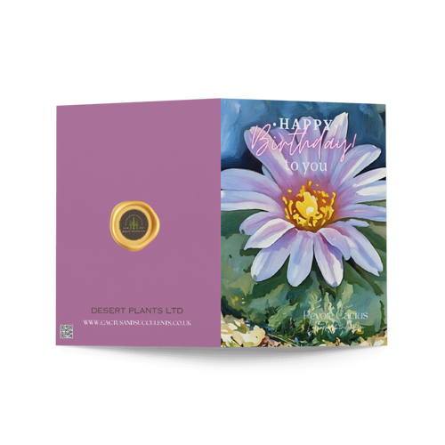 Peyote Cactus Birthday Card – Soft Bloom Edition (Lophophora williamsii)